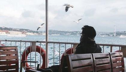 51网新手入门先别乱改：把更新节奏搞明白就够了