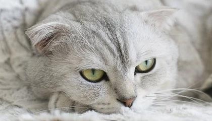 吃瓜入口 · 明星黑料 · 最被低估的关键线索技巧：一眼识别为什么会被带节奏？