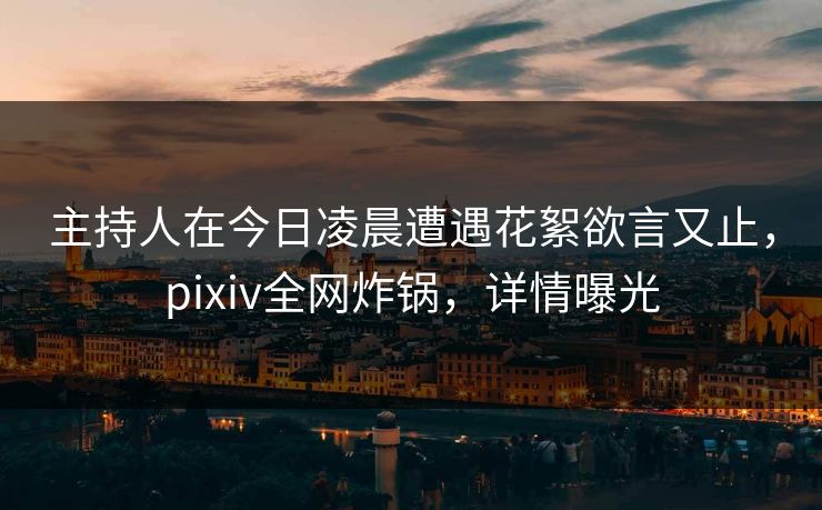 主持人在今日凌晨遭遇花絮欲言又止，pixiv全网炸锅，详情曝光
