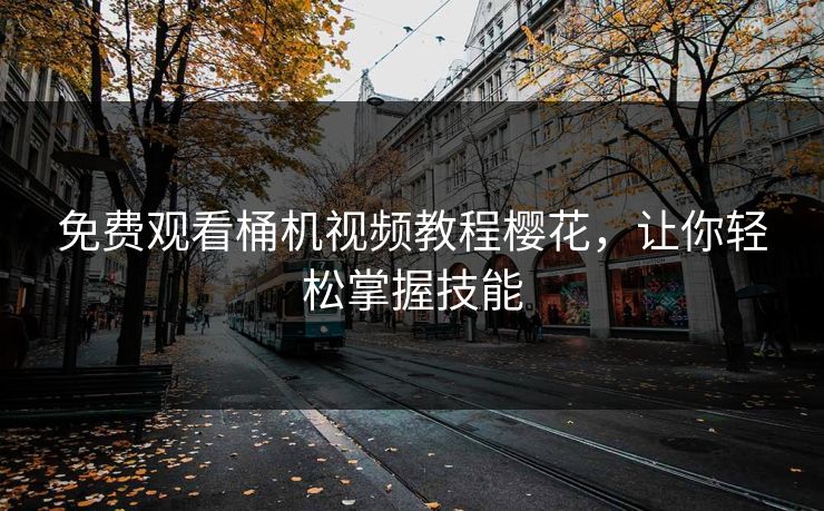 免费观看桶机视频教程樱花，让你轻松掌握技能