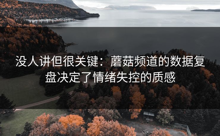 没人讲但很关键：蘑菇频道的数据复盘决定了情绪失控的质感
