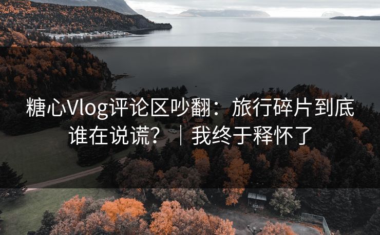 糖心Vlog评论区吵翻：旅行碎片到底谁在说谎？｜我终于释怀了