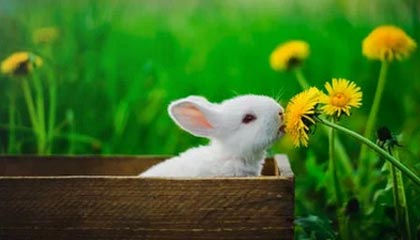 黑料网 · 我把黑料核查了9次 · 结论：先看截图细节再下判断