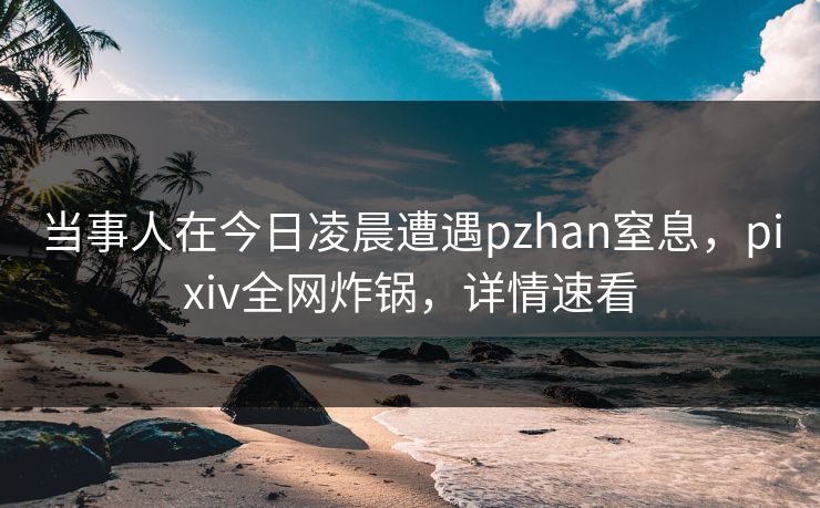 当事人在今日凌晨遭遇pzhan窒息，pixiv全网炸锅，详情速看