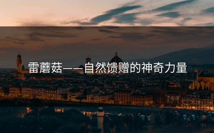 雷蘑菇——自然馈赠的神奇力量