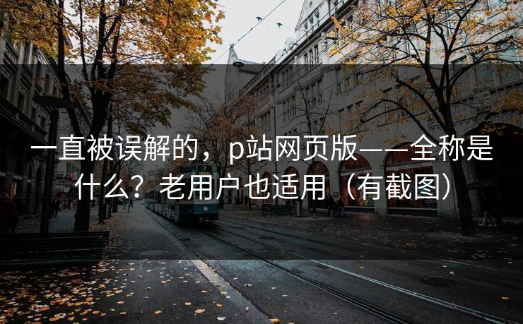 一直被误解的，p站网页版——全称是什么？老用户也适用（有截图）